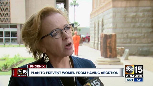 Arizona lawmakers introduce two bills to fund family health pilot program