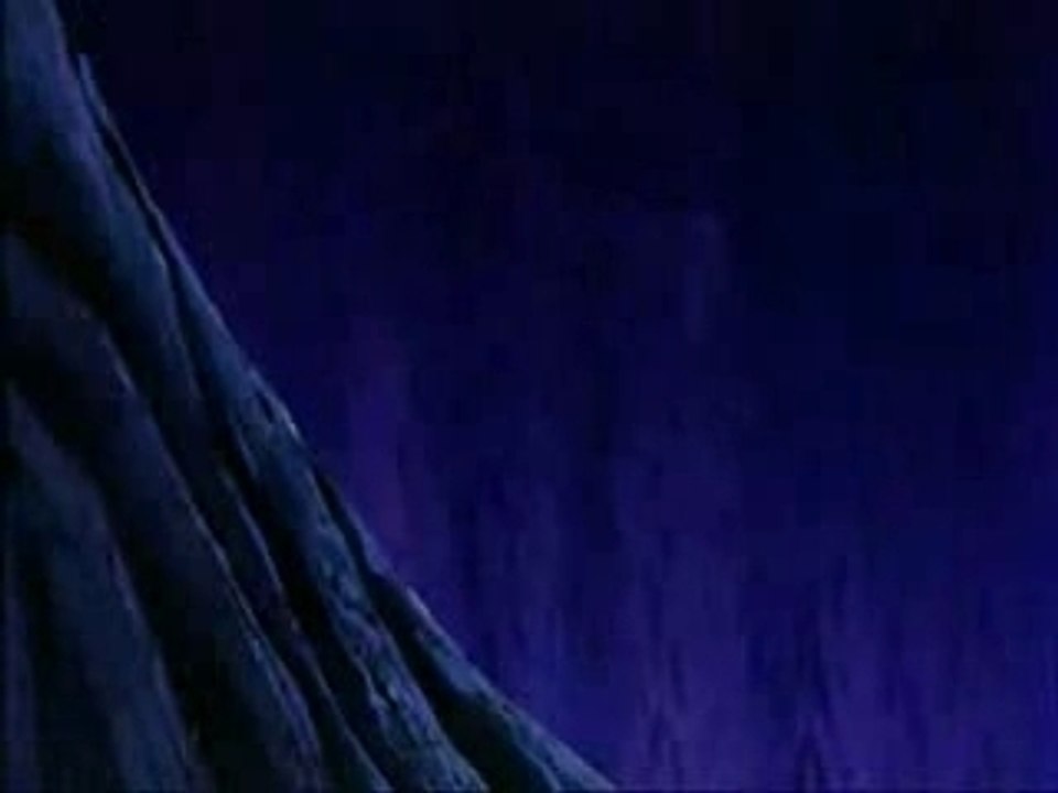 Pocahontas - Des Sauvages