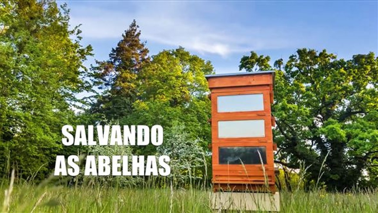 Protegendo as abelhas de um parasita mortal