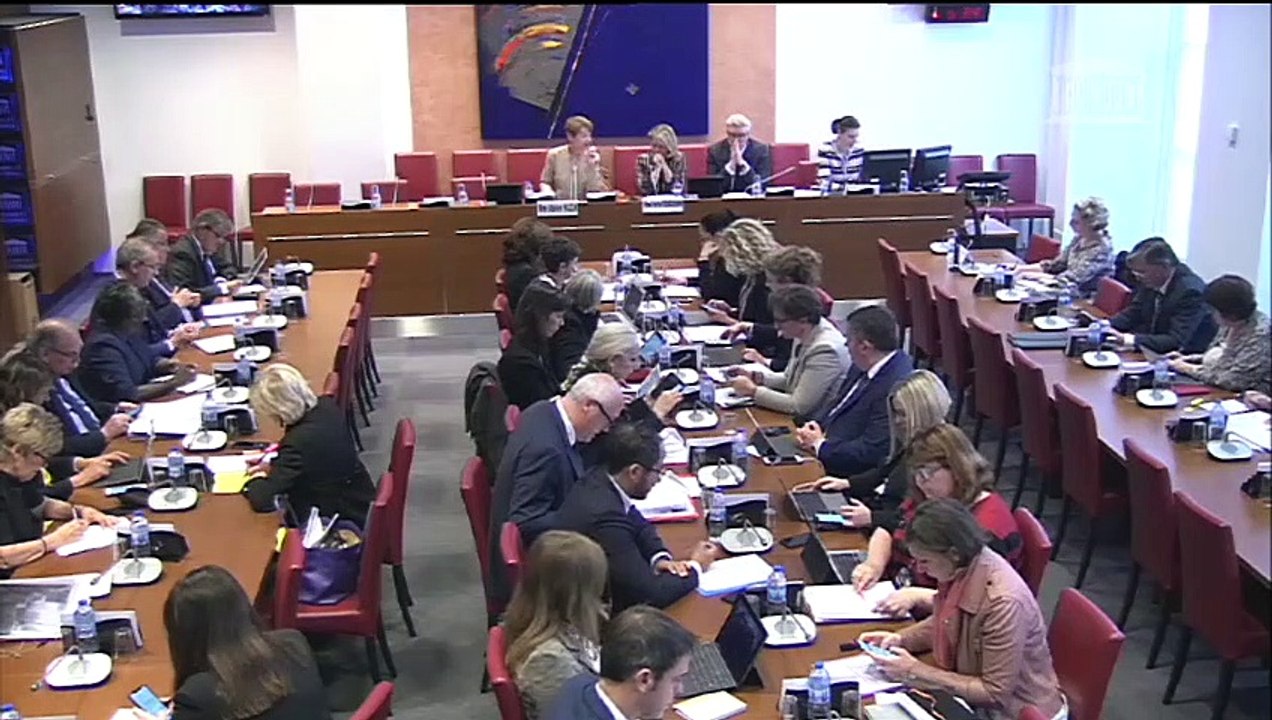 Commission des affaires sociales : Mme Adeline Hazan, contrôleure générale des lieux de privation de liberté - Mercredi 22 mai 2019