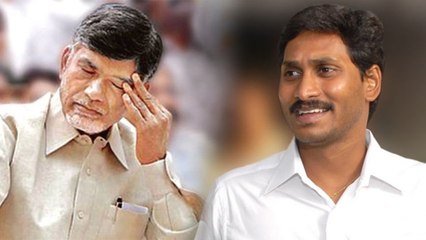 Ap Assembly Election Results 2019 : టీడీపీ కంచుకోటలు బద్దలుకొడుతున్న వైసీపీ || Oneindia Telugu