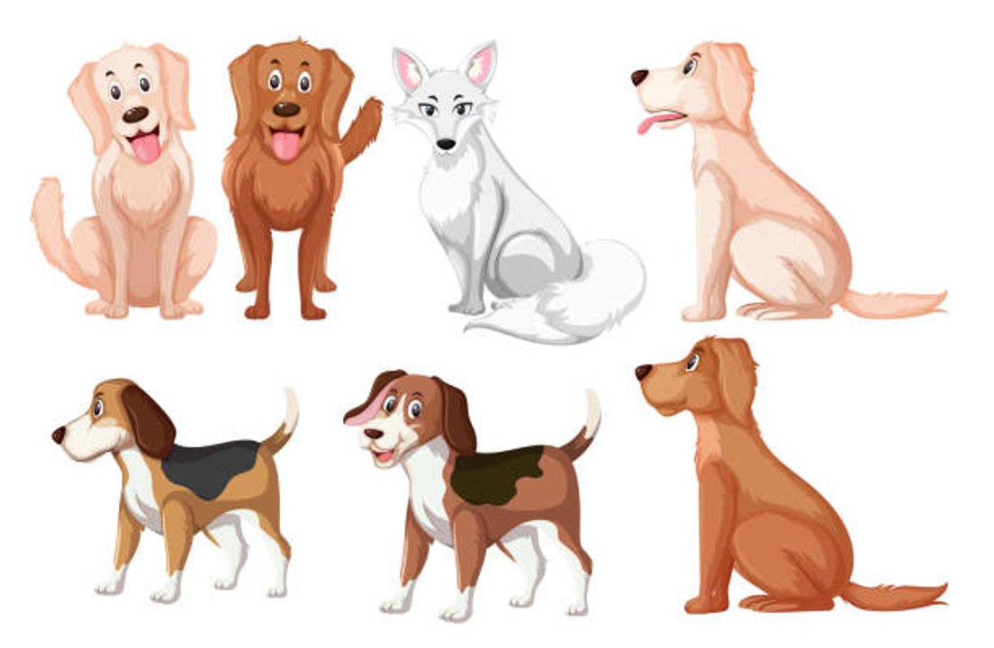 Wie wählt man den richtigen Hund?