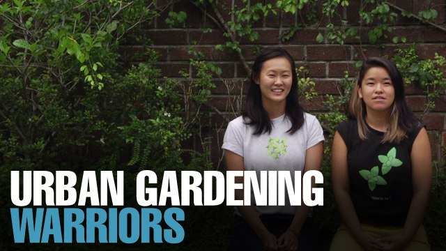 NEWS: Empowering urbanites to grow their own food