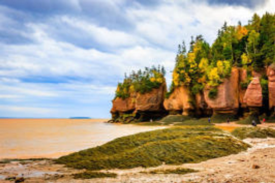 Le Canada: tout savoir sur le Nouveau-Brunswick