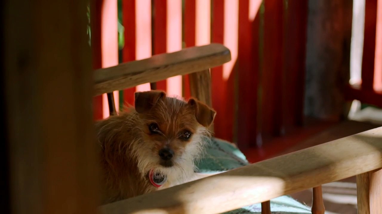 월드스플플코리아바카라＼司〖 https://PL377.COM 〗司＼예스카지노