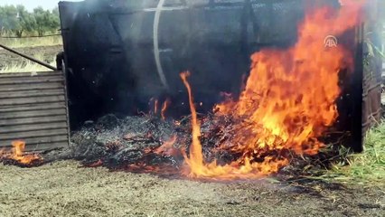 Zahmeti çok, kazancı bol lezzet: Firik - HATAY