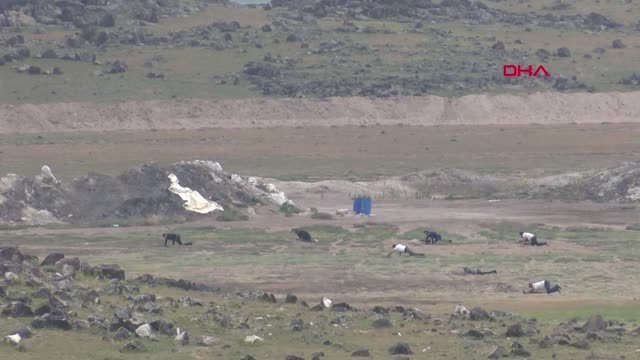 Kayseri 'Erciyes 2019 Tatbikatı'ndan Görüntüler-5