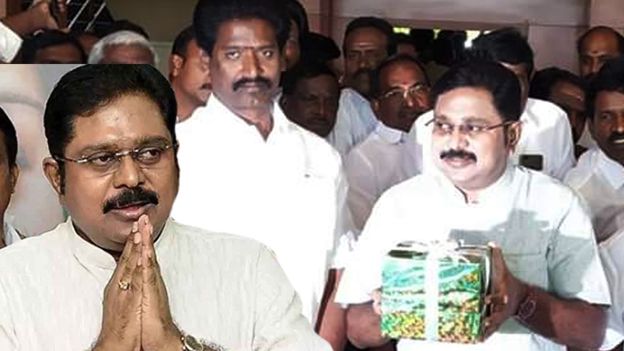 Lok Sabha Election Results 2019: பரிதாபம்!..ஒட்டு மொத்தமாக சரிவை சந்தித்த டிடிவியின் அமமுக- வீடியோ