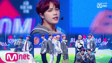 청량함이 12배! '더보이즈'의 'Bloom Bloom' 무대