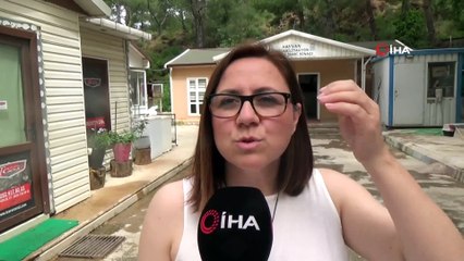 Hayvanseverler Pitbull’un yasaklı ırktan çıkarılmasını istiyor