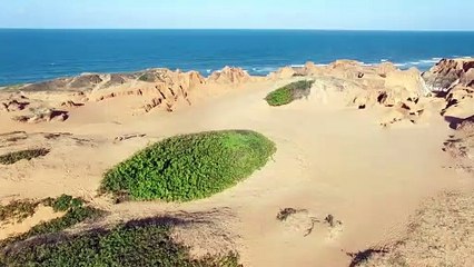 Aerial Shot - Angelo D’Alessandro Michigan