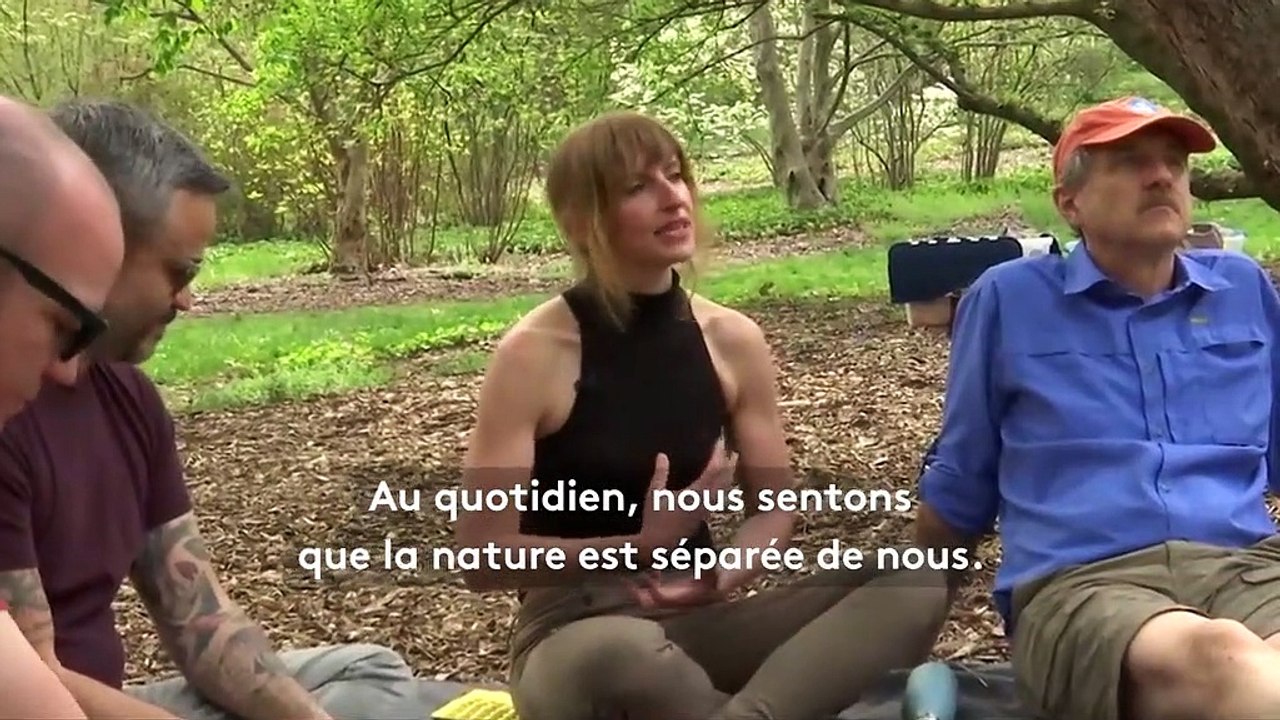 États-Unis : des Américains conquis par les "bains de forêt"