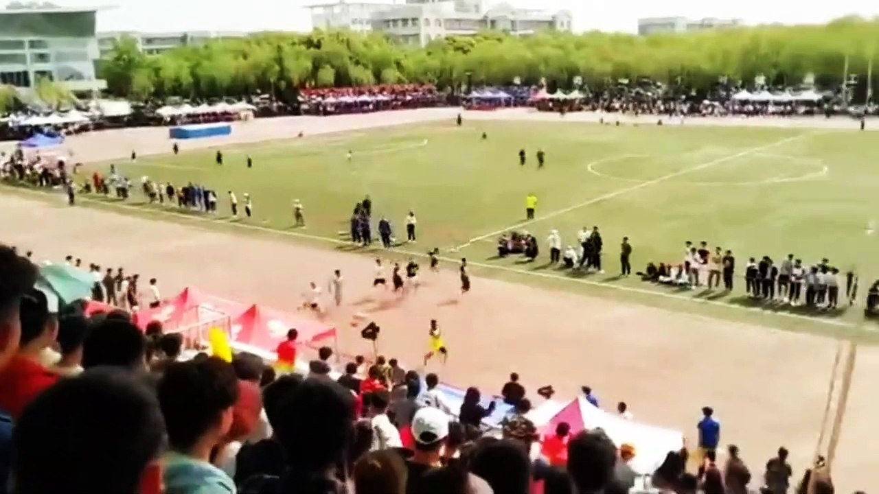 Stray dog nearly wins 100m race after running onto the tracks