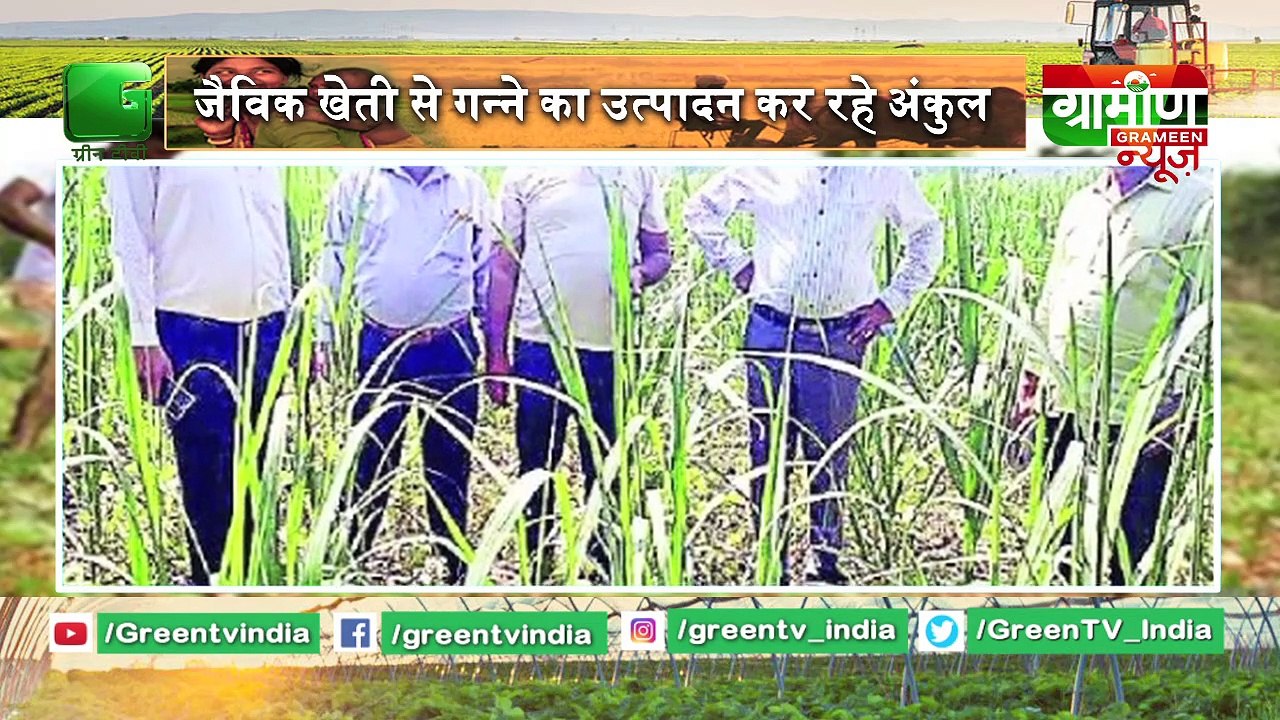 Zero Budget Farming  की मिसाल बना किसान | Kisan Bulletin 23 May 2019 - Grameen News