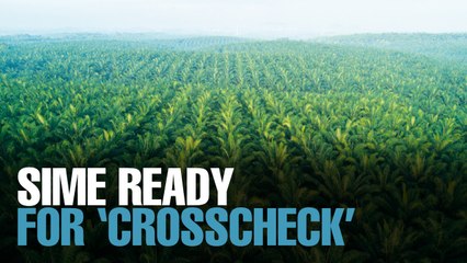 NEWS: SDP’s palm oil supply now ready for ‘Crosscheck’