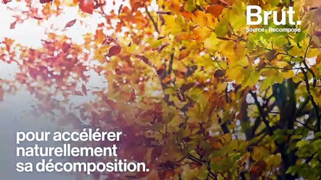 Être transformé en engrais après sa mort, c'est possible