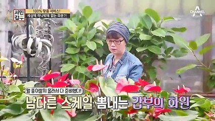 세상에 하나밖에 없는 화분?! 100% 맞춤 서비스, DIY 화분!!