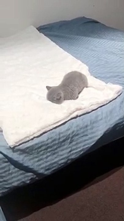 I wanna sleep.