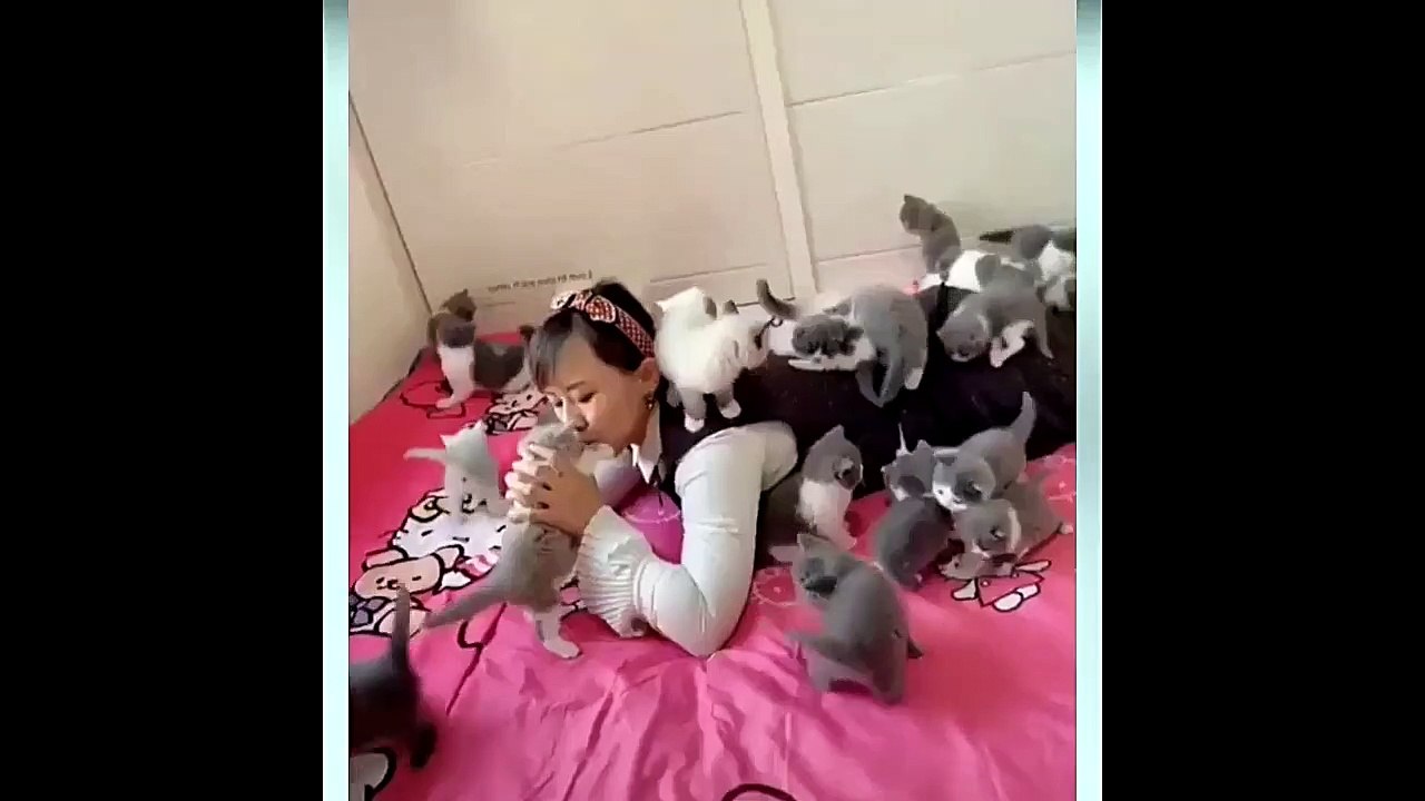 Cute kitten - Compilation 01