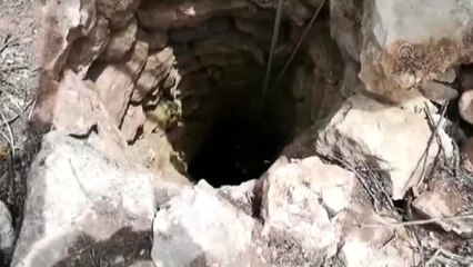 Kuyuya Düşen Oğlağı İtfaiye Ekipleri Kurtardı