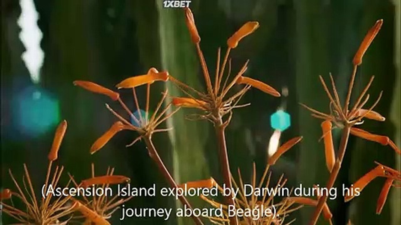 STYX reviewed by Giuseppe Leo