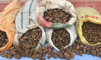 Toplayanlara bugün de 240 bin TL ceza kesildi!