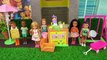 Barbie Chelsea School Bus Field Trip with Classmates - Stories for Kids