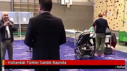 - Hollandalı Türkler Sandık Başında