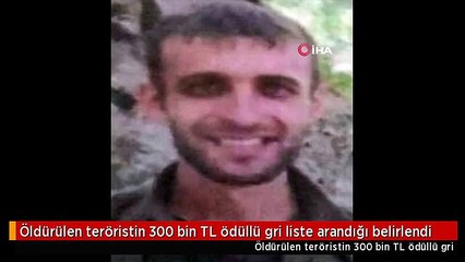 Öldürülen teröristin 300 bin TL ödüllü gri liste arandığı belirlendi