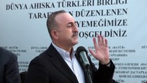 Çavuşoğlu: 'Türkiye'de 40 bin civarındaki Ahıskalı kardeşimize vatandaşlık veriyoruz' - ÇİMKENT