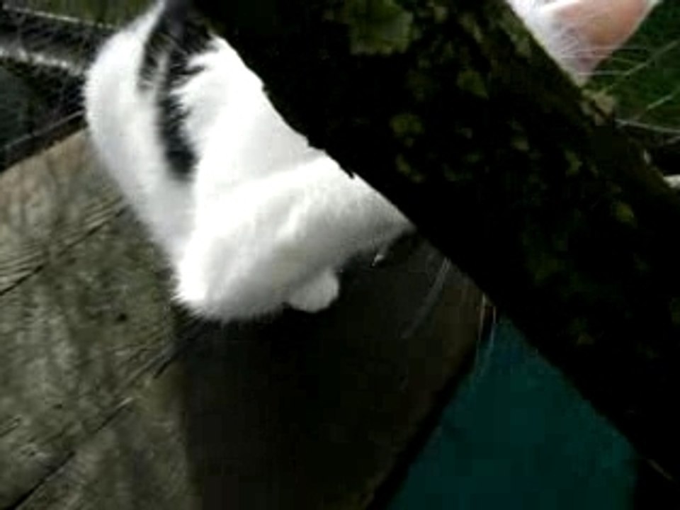 Tipounharic2