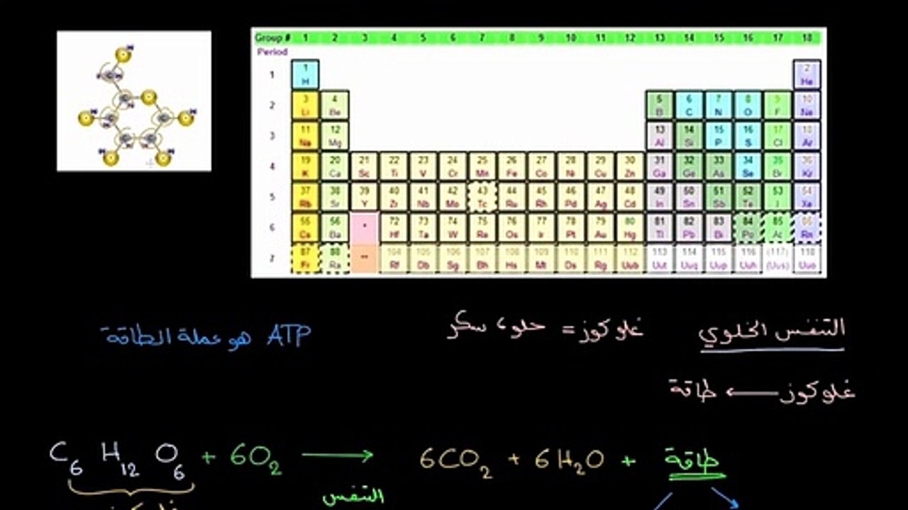 التنفس الخلوي مقدمة