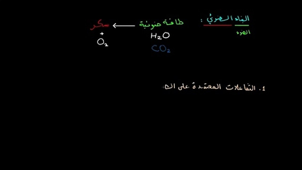 مراحل التركيب الضوئي