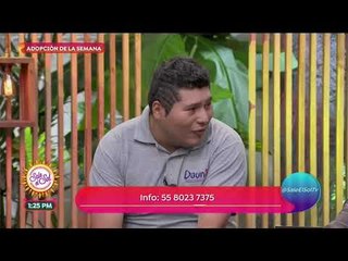 ¡Pirata, un perro que fue rehabilitado y hoy busca una familia! | Sale el Sol