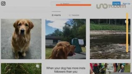 Entretenimiento | Esta fue la reunión masiva de labradores en Escocia