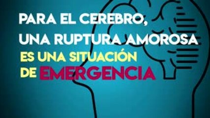 Tecnología y Ciencia | El paracetamol puede curar el mal de amores