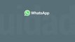 Tecnología y Ciencia | Whatsapp notificará sobre mensajes reenviados