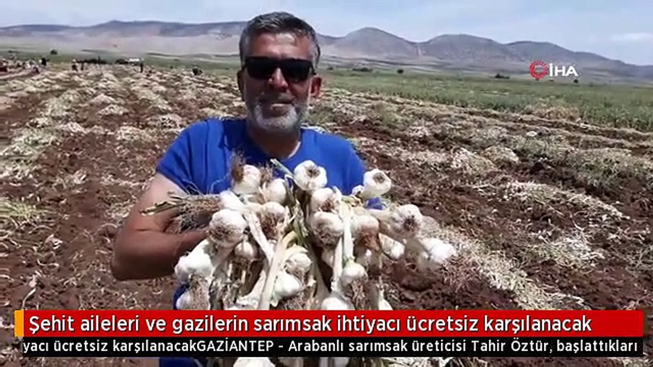 Şehit aileleri ve gazilerin sarımsak ihtiyacı ücretsiz karşılanacak