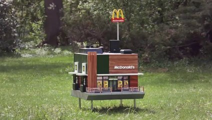 Voici le plus petit McDonald's du monde et il est pour les abeilles