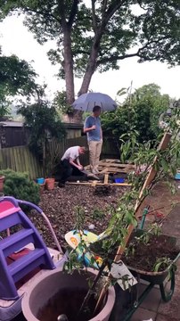 Bricolage _ le fils scie et le père tient le parapluie