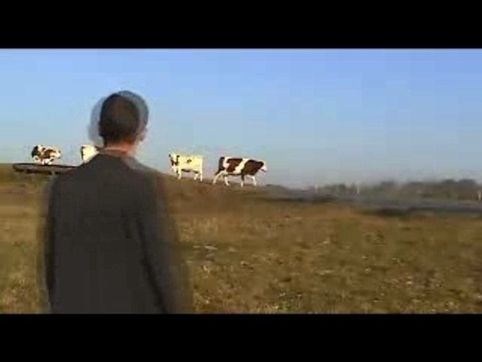 Aux champs la ville est belle