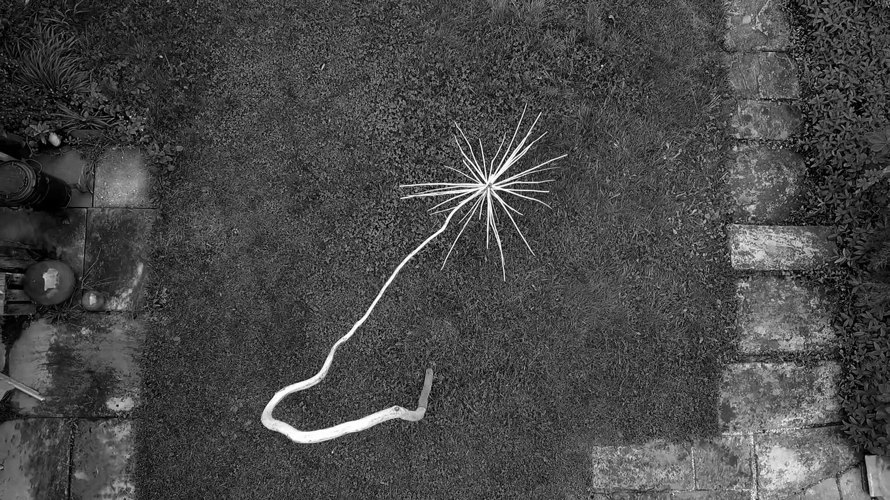 Kari Joller in der Mühle