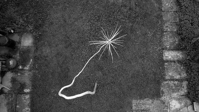 Kari Joller in der Mühle