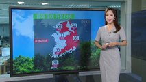 [날씨] 올해 들어 가장 더워, 서울 32도...곳곳 폭염주의보 / YTN