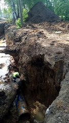 Hedgehog Rescued from the Mud and the Muck