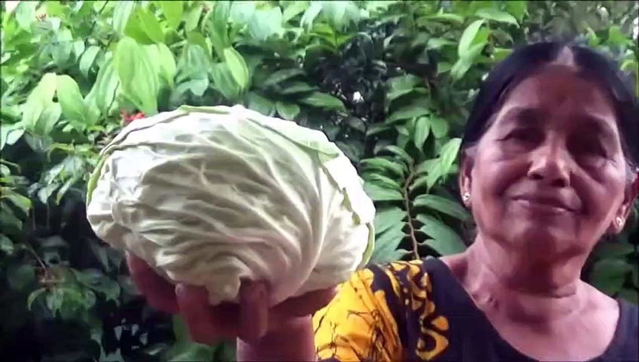 Village Aliments  Chou de l'Œuf et Remuez faire Frire Recette de ma Maman