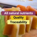 Fresh Nutritious Protein Vegetable Meals -Bambinos Baby Food - Healthy Rich baby toddler foods