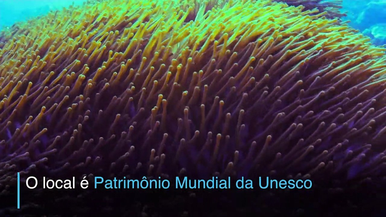 ‘Uber’ submarino