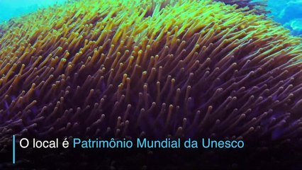 ‘Uber’ submarino