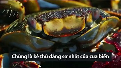 Cận cảnh màn -khinh công- đẹp mắt như phim hành động